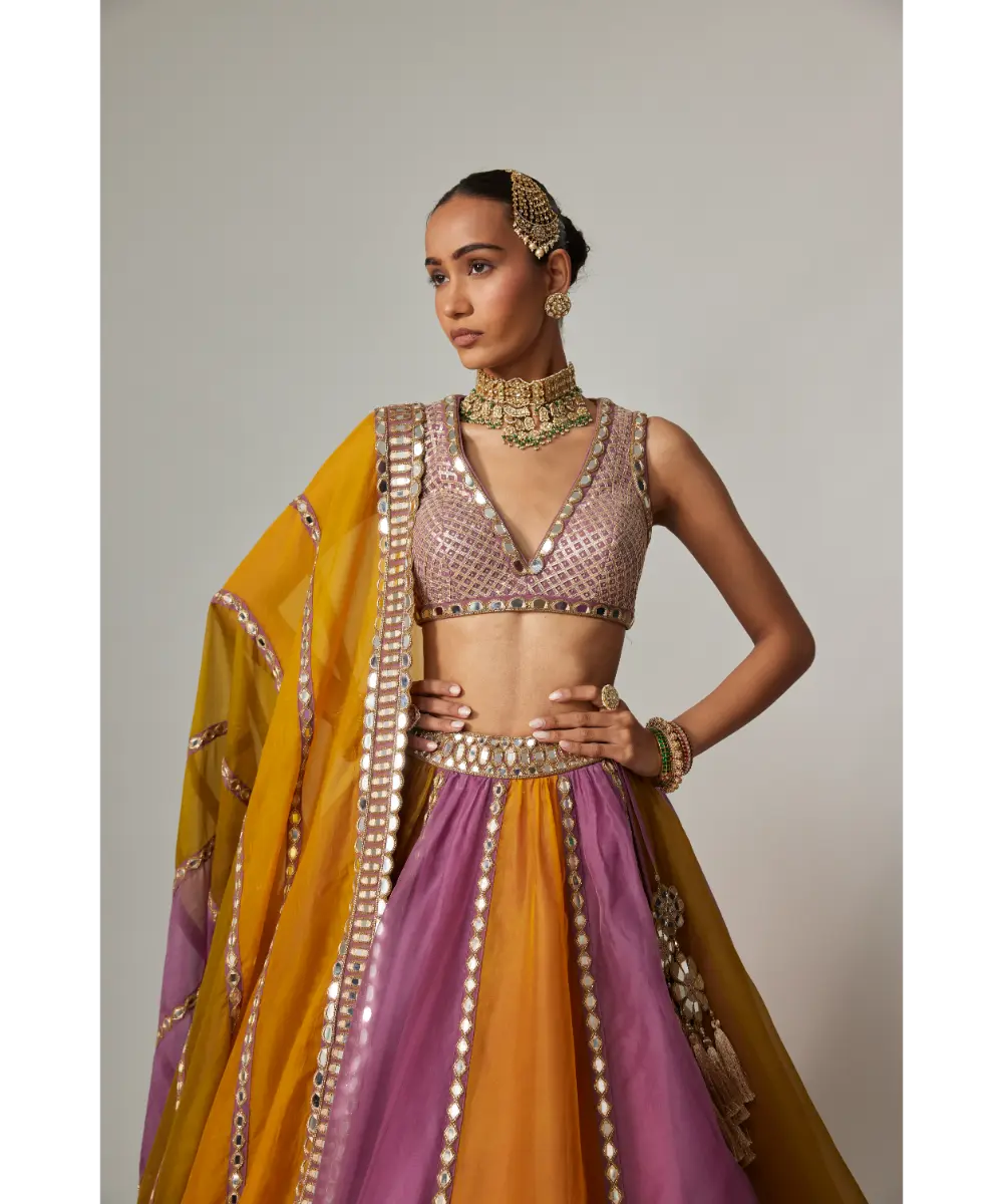 VVANI VATS - Mustard multicolor Linear Lehenga with V Neck Blouse